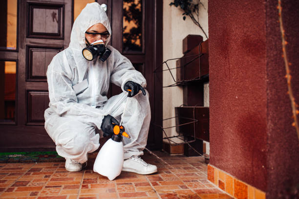 Reliable Bed Bug Control contractor in Washington Terrace, UT by Nex Pest Control